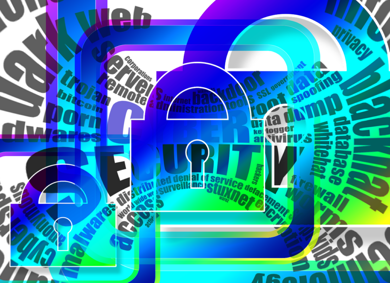 Managing Passwords and Personal Data Securely with 1Password